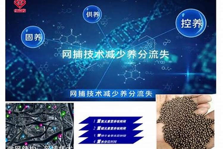 广西桉树肥十大排名