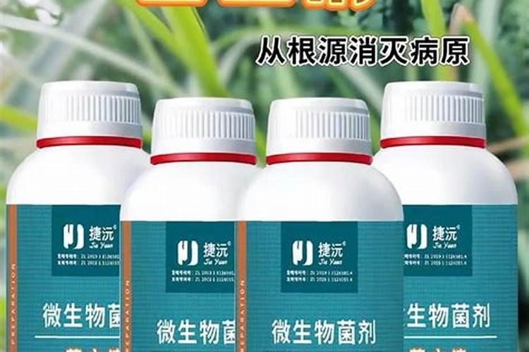 玉米控释肥多少含量的好