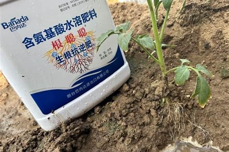 氨基酸水溶肥使用禁忌