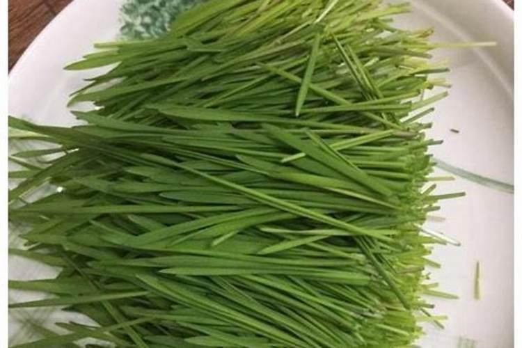 小麦反青时要不要喷撒叶面肥