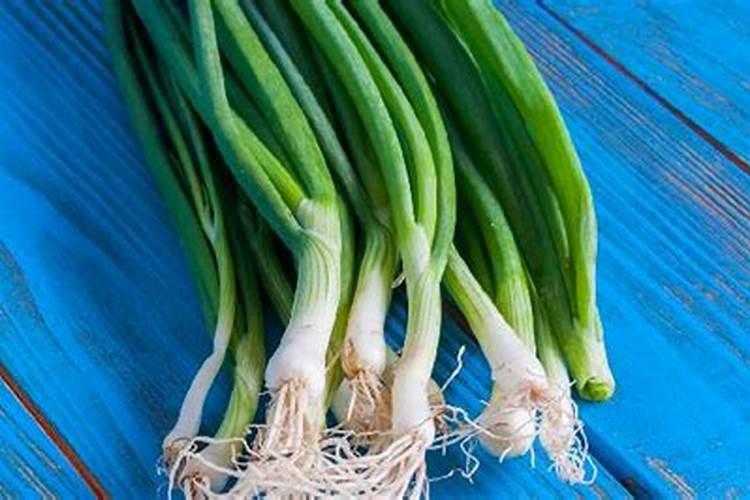 鱼蛋白肥是什么？