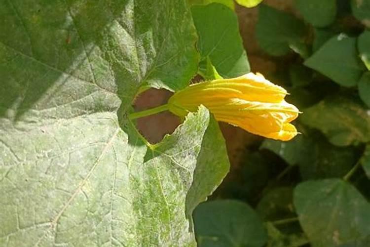 钝化处理多少钱一公斤？