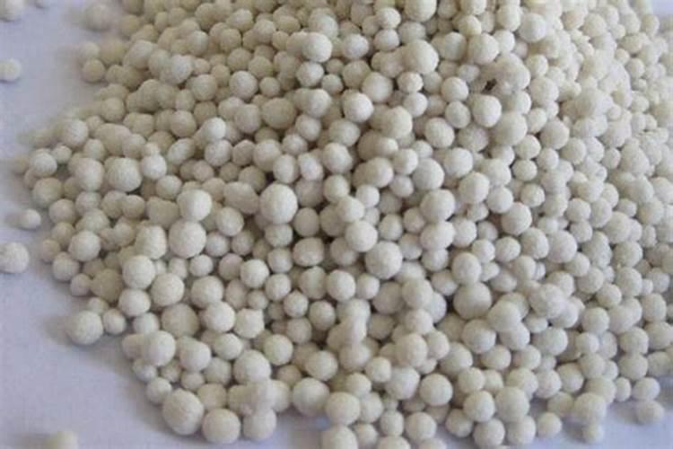 绿叶植物用什么肥料