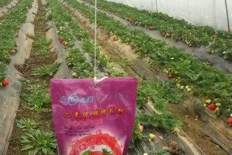 30斤水放多少硼肥