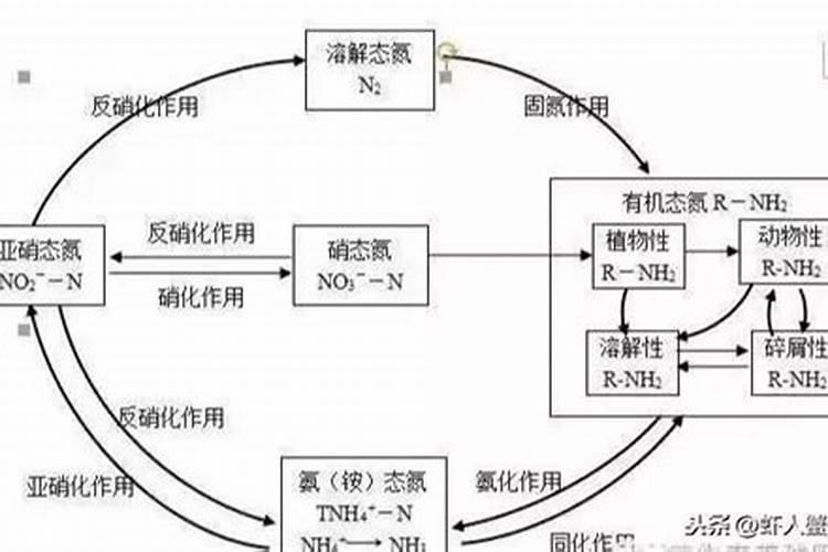 磷肥在水产养殖中的作用
