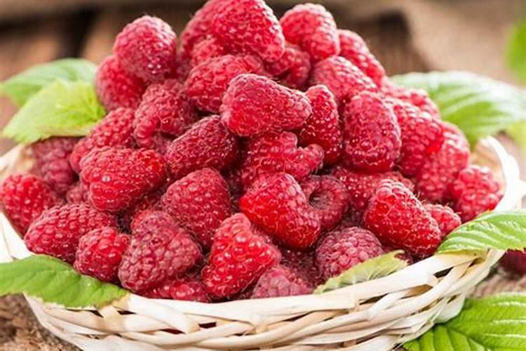 先正达益施帮叶面肥用在水果甘蔗上的应用与效果