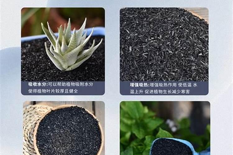 在家怎样自制磷钾肥呢