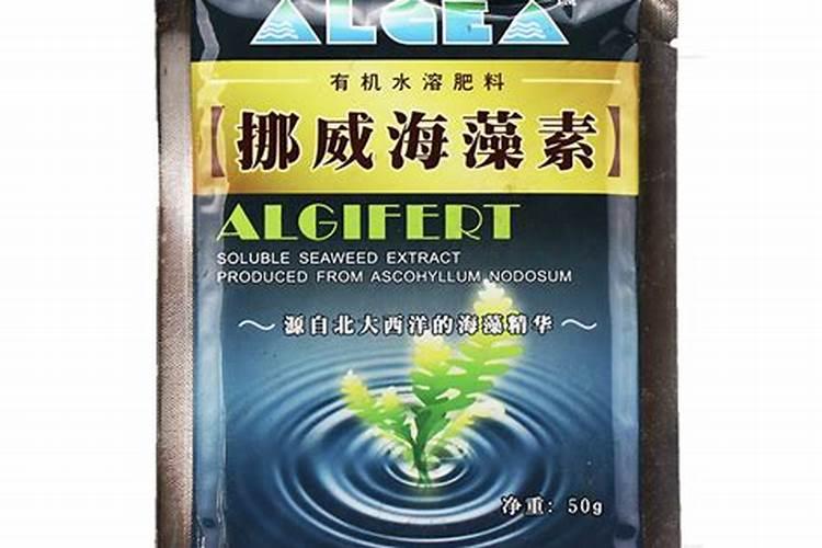 半亩花田氨基酸生姜洗发水怎么样