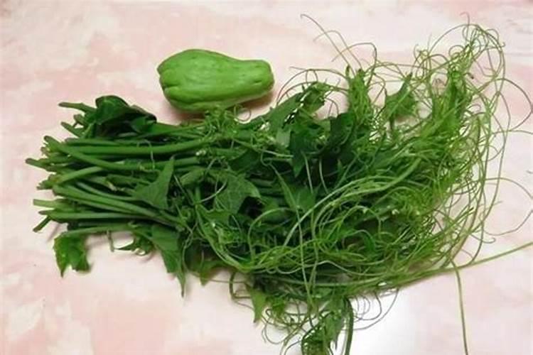 蒲瓜和西葫芦是一种吗