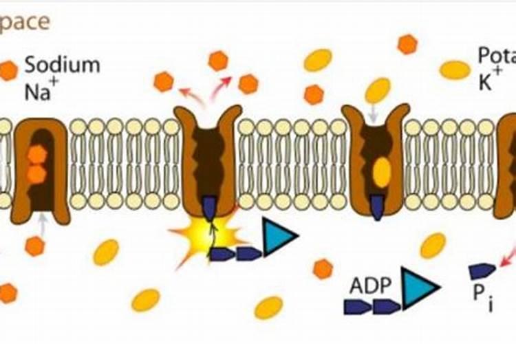 警惕肥料造假,了解甲酸钾水溶肥避免被“套路”