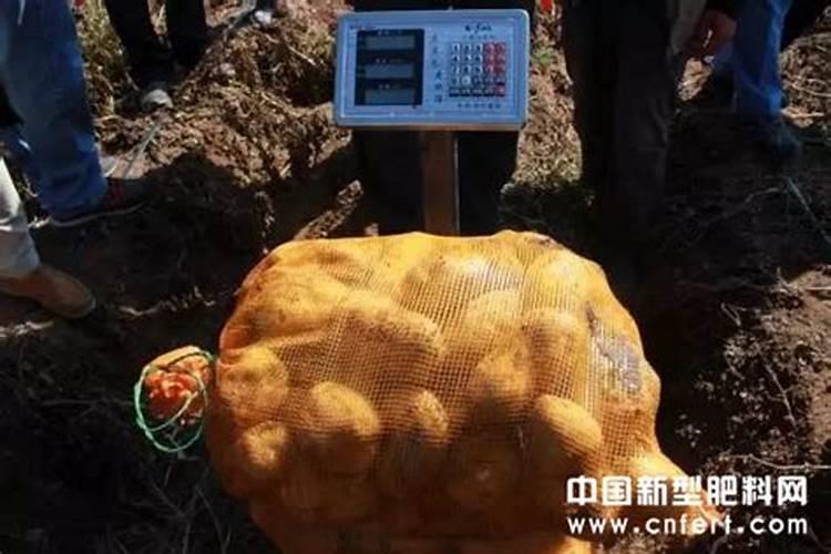 水稻田施用氯化铵效果好,成本低,农民如何扬长避短,合理使用？