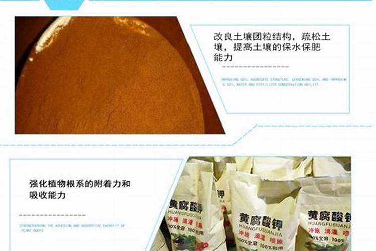 怎样给海棠施氮肥