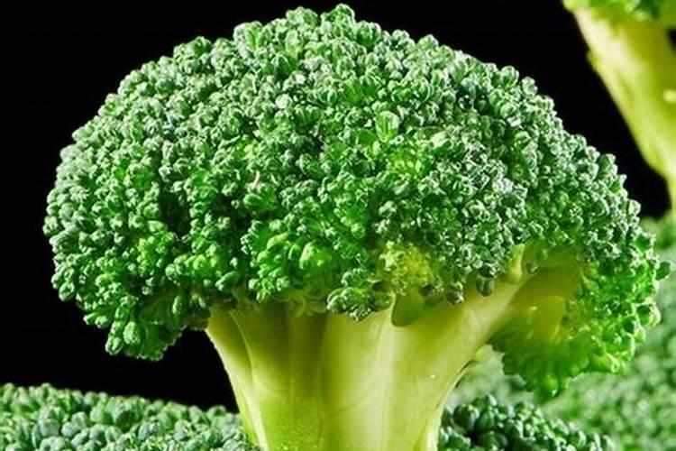 西兰花和绿甘蓝能一起种植吗