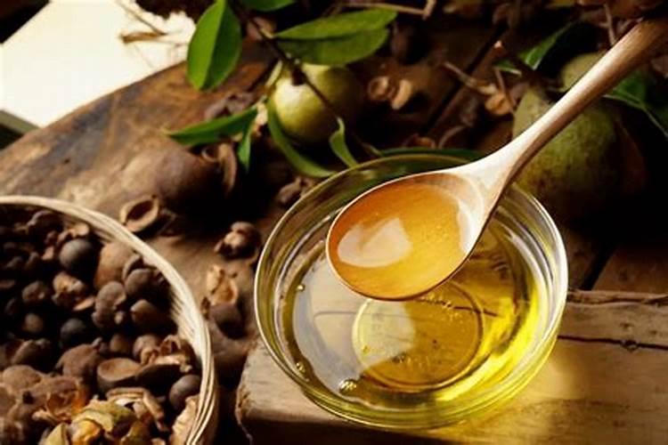 油茶树用什么肥料比较好油茶树用什么肥料比较好油茶树施什么肥比较...