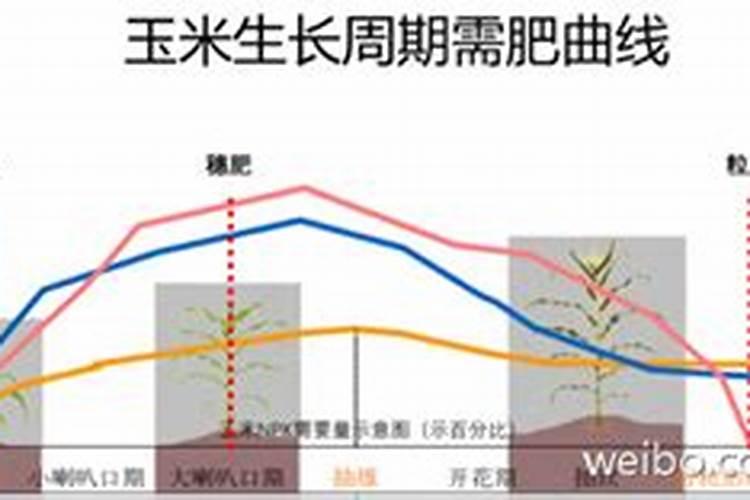 六颗星三段控释肥怎么样
