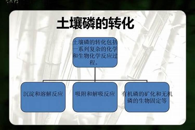 水溶性磷肥使用方法