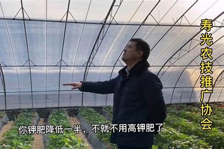 硝酸钾肥遇水冰凉吗？