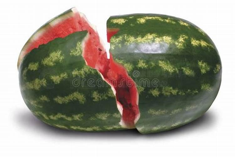 用坏了的西瓜可以做肥料吗？