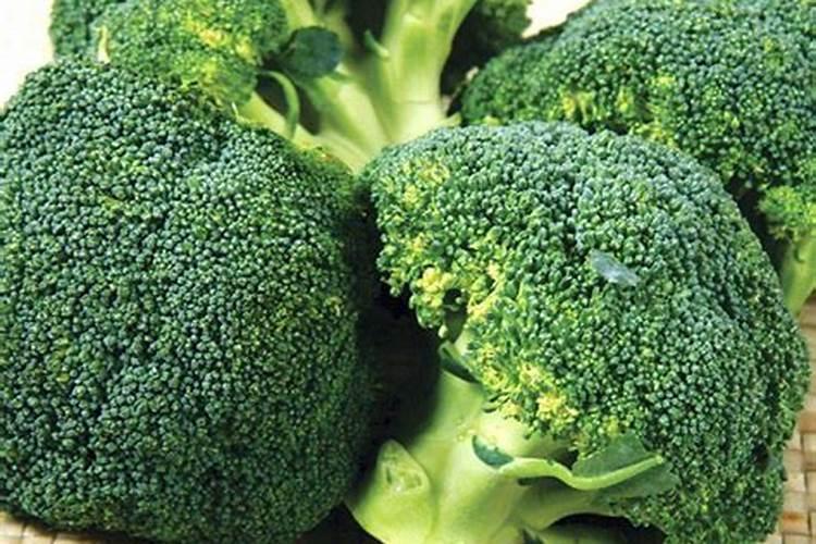 西兰花施什么肥最好