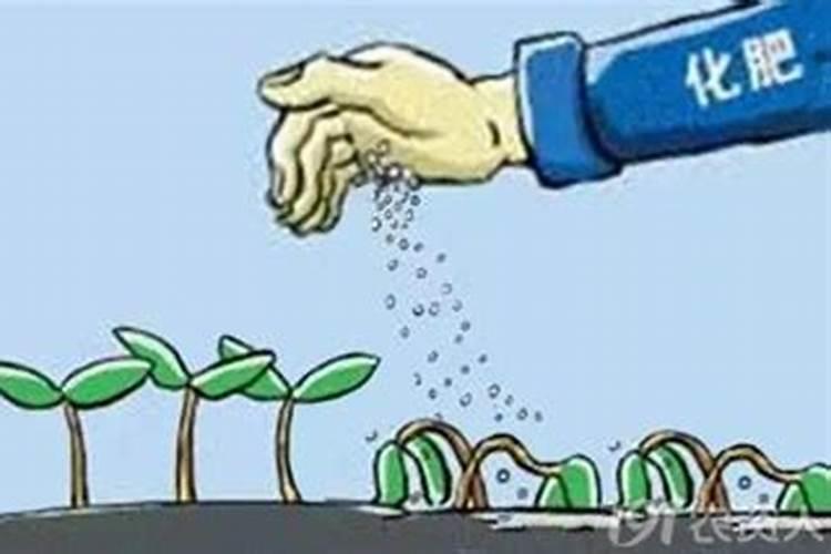 现在农民种田如果不使用化肥农药,光靠责任心能提高产量吗？