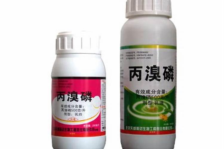 如何防治棉铃虫？