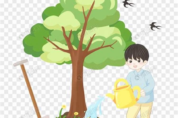 请问种树是施肥还是先浇水