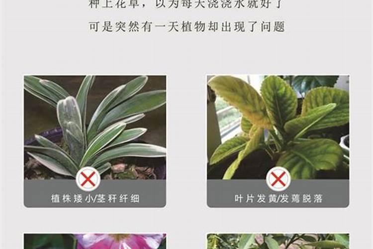 控释肥详细资料