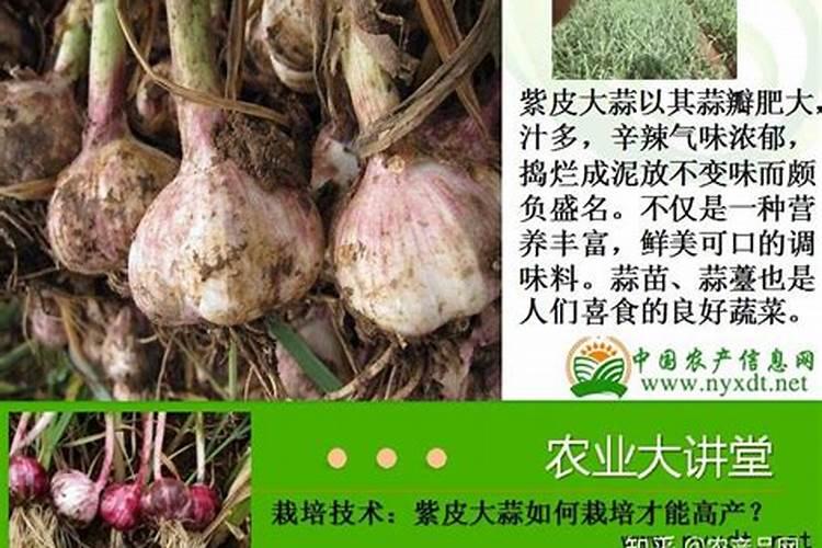 化肥价格多少钱一吨？2022年史丹利化肥价格一览表