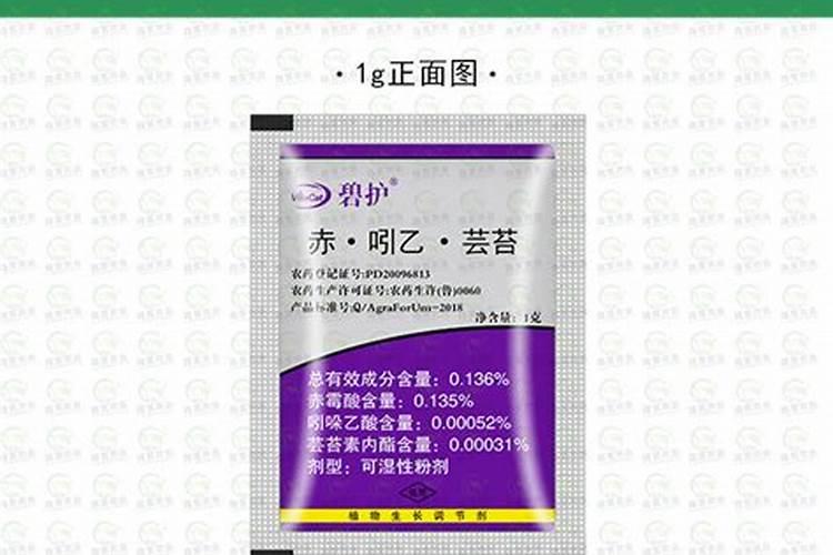 露天甜瓜什么时候移栽最好？