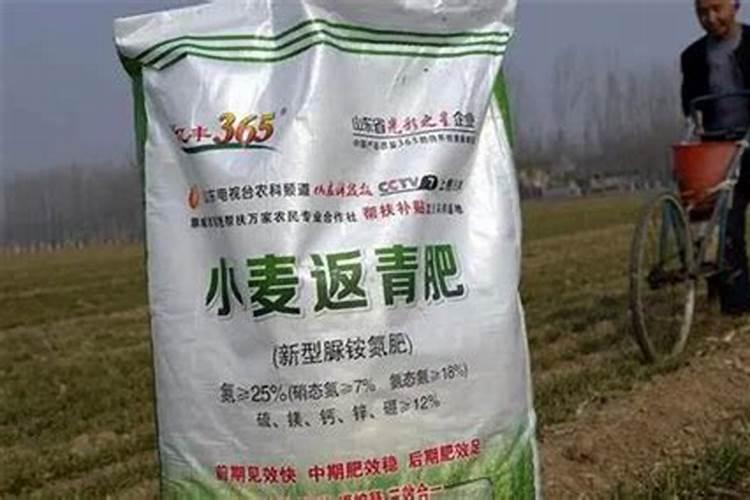 家庭花卉常用化学肥料有哪些？