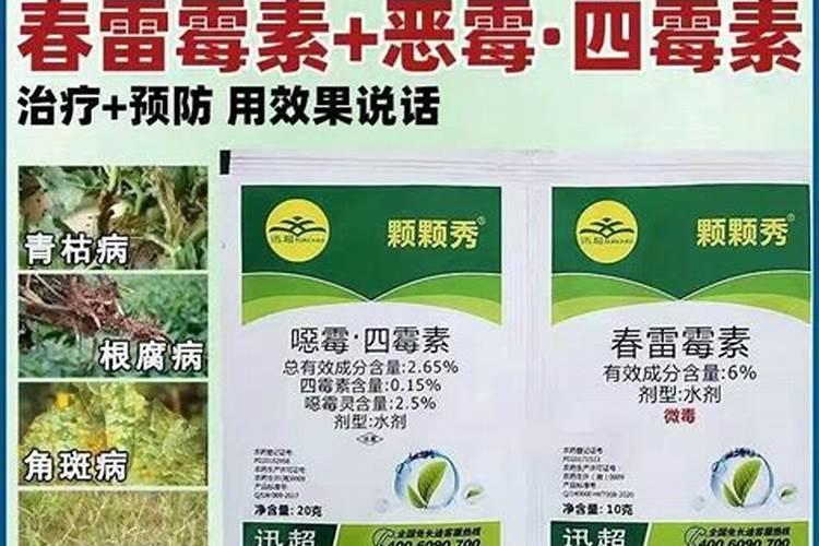 四霉素能与植物龙特效杀菌剂混用吗