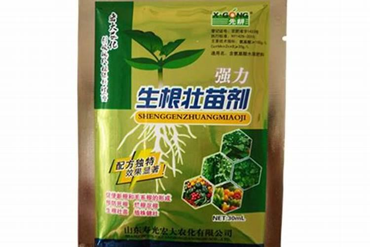 板蓝根壮根叶面肥怎样用效果好,中药材板蓝根生根肥料？