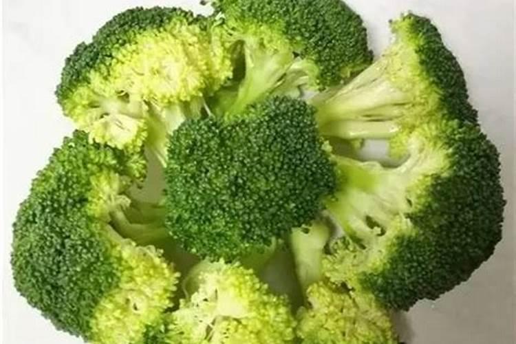 西兰花耐低温多少度