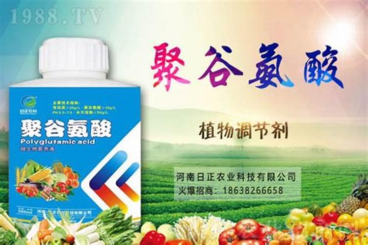 金豆豆聚谷氨酸功能肥有什么特点？