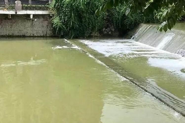 水溶肥化水出现大量泡沫是怎么回事