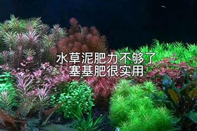 不肥沃的地适合种什么