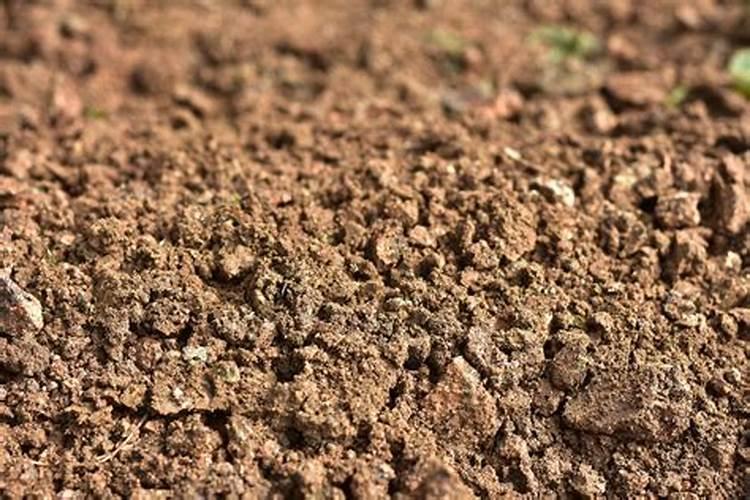 钙肥的正确使用