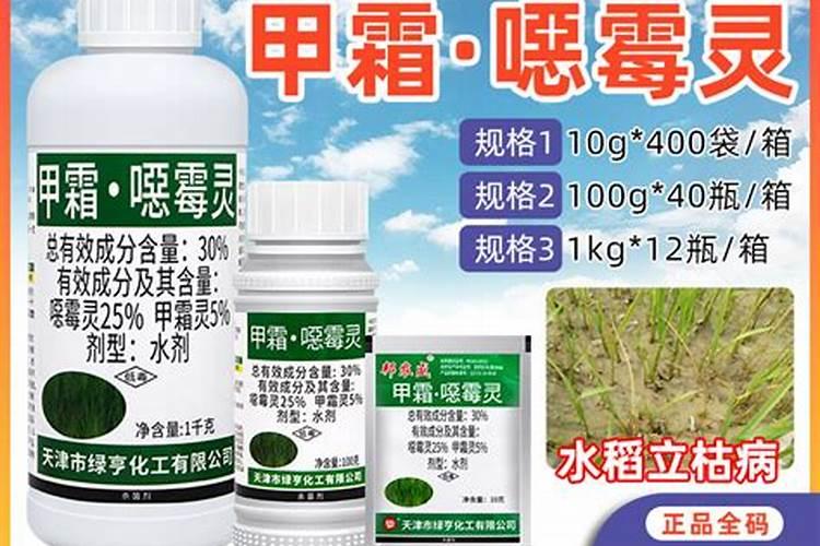 拿地稳在水稻什么时期使用