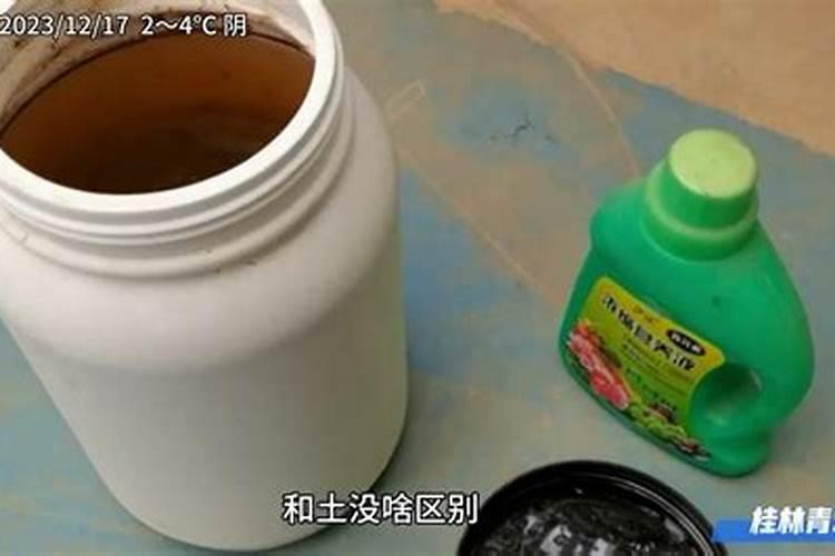 油茶花很多不错果用促芽膨果肥有效吗