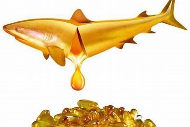 给富贵竹的水里滴了几滴鱼油没事吧？