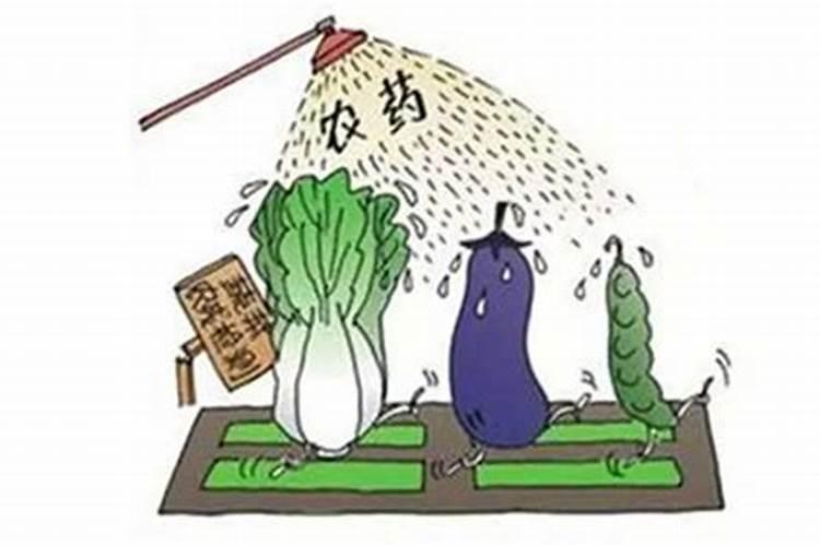 种果树用什么肥料？果树连年种植如何施肥