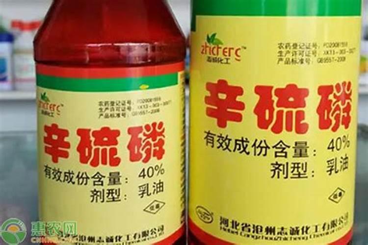 晒干的玉米粒可以喂果树吗