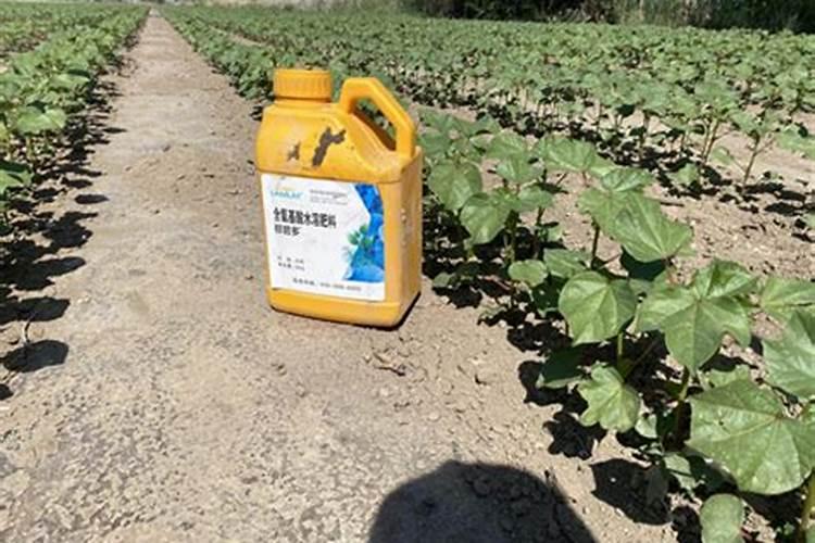 颗粒硼肥的正确使用方法