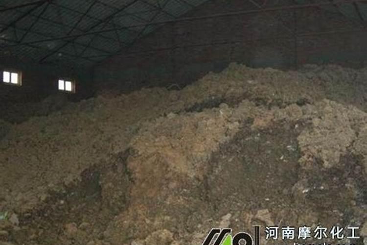 叶面肥排名榜前十名