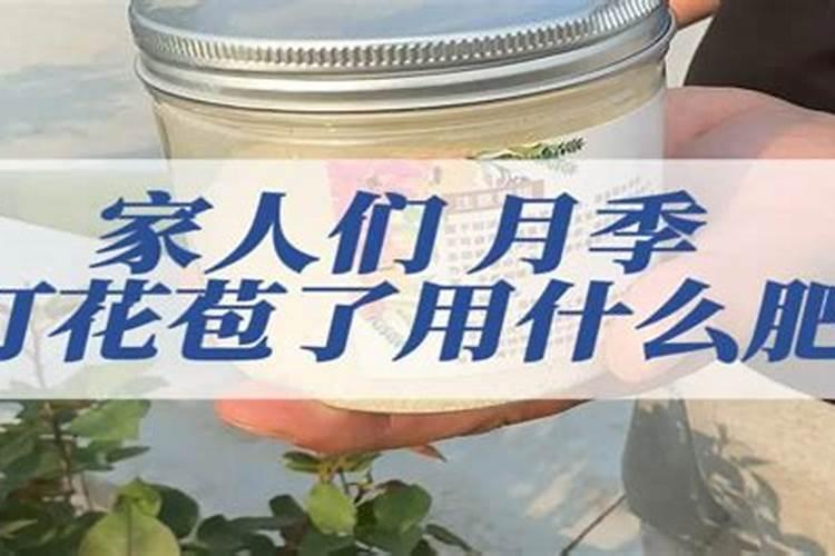 茶花打花苞时怎样施肥茶花花苞期如何施肥