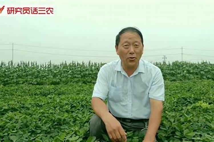 怎么给花生施肥。施什么肥。