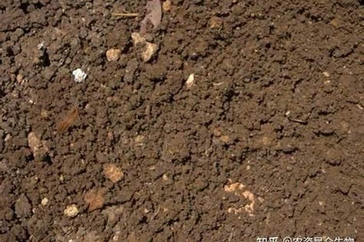 黄腐酸钾能长期使用吗 使用时有哪些禁忌