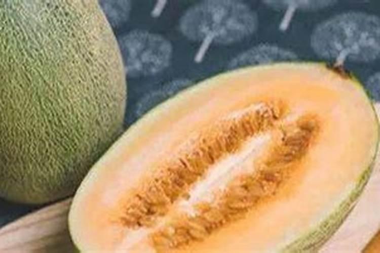 哈密瓜施肥最佳时间