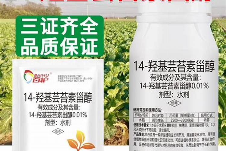 碳酸钙和乳酸钙的区别是什么