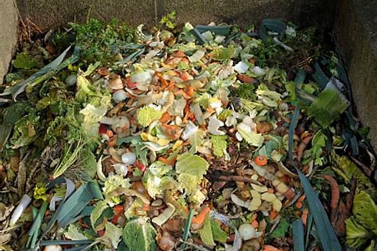 粉葛种植时间及管理,当年可以采挖吗